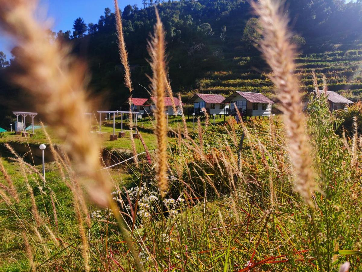The Hillside Cottages カナタル エクステリア 写真